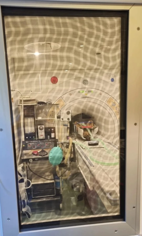 Badanie MRI widoczne przez drzwi w sali diagnostycznej