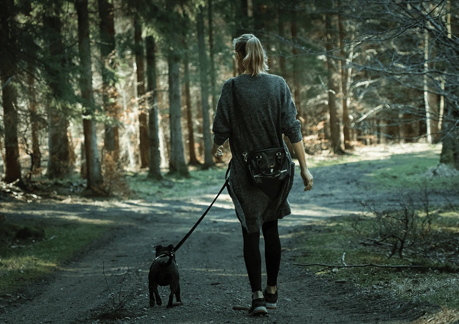 spacer z psem w lesie