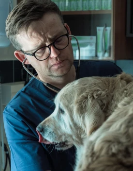 osłuchiwanie psa stetoskopem