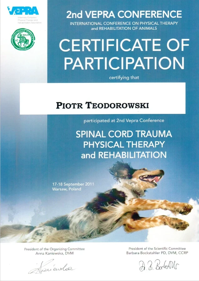 Spinal Cord Trauma Physical Therapy and Rehabilitation – certyfikat Piotr Teodorowski