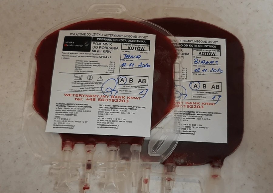 krew z weterynaryjnego banku krwi