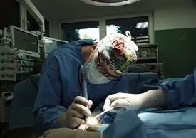 lekarz weterynarz podczas zabiegu