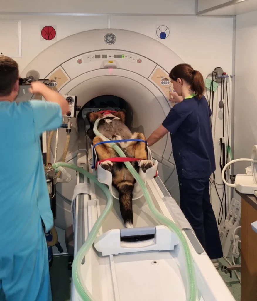Lek. Piotr Teodorowski wraz z lek. Pauliną Jarzombek przygotowują się do wykonania badania MRI w rezonansie wysokopolowym GE 1,5 T