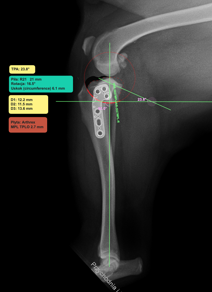 TPLO TPLO płyta Arthrex