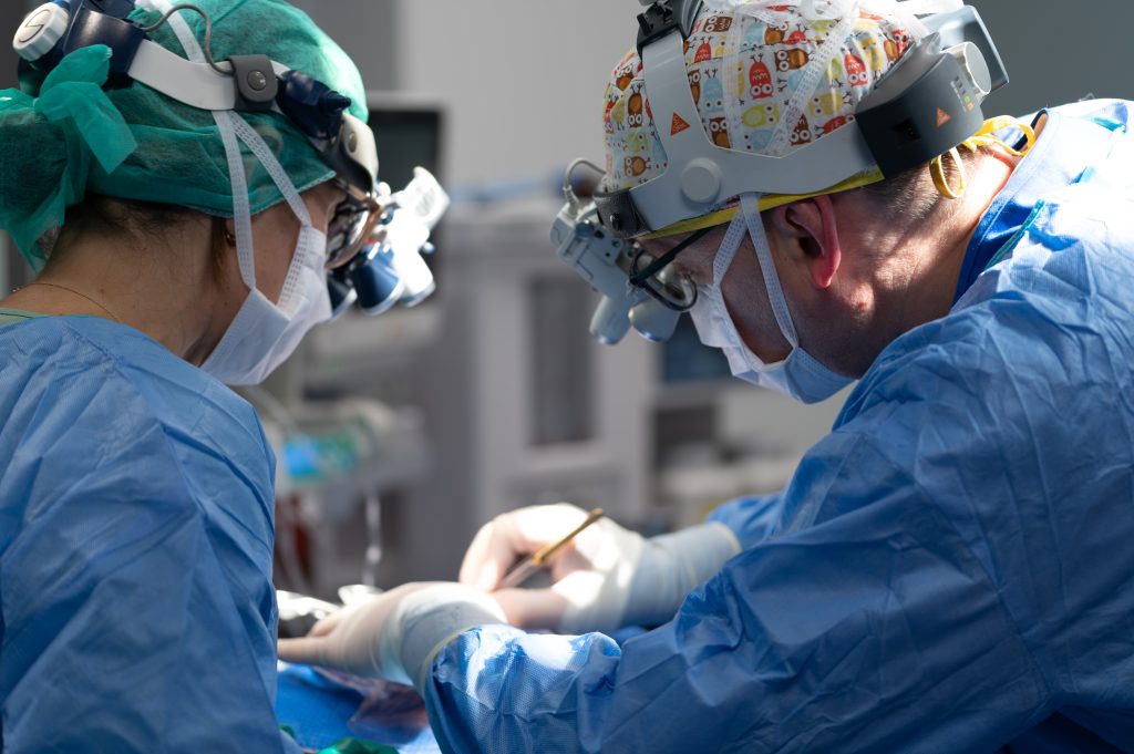Operacja kręgosłupa u psa – 7 ważnych informacji o diagnostyce, leczeniu i rokowaniach